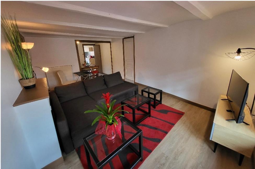 Doux Refuge Apartment Le Puy-en-Velay Luaran gambar